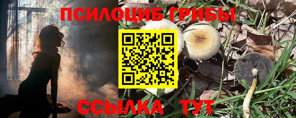 Галлюциногенные грибы GOLDEN TEACHER Учалы