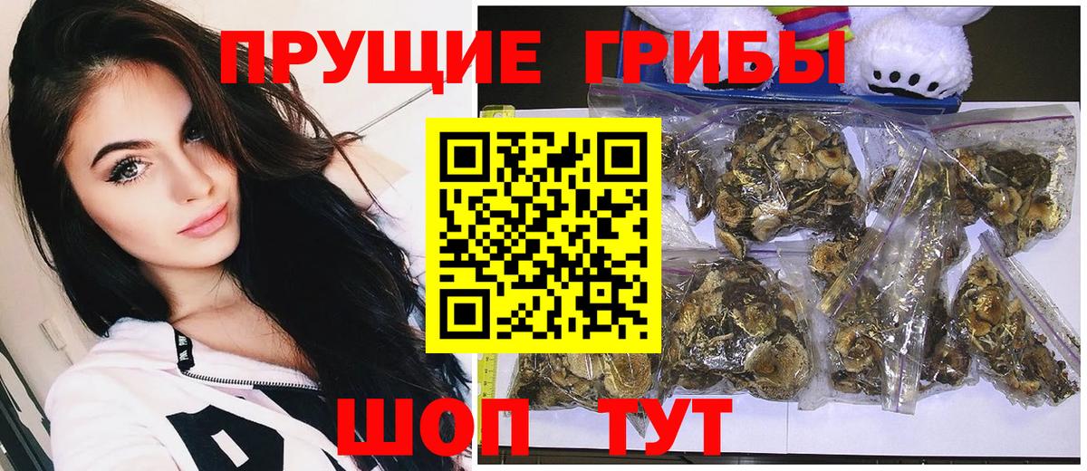 Псилоцибиновые грибы мицелий  Вход с VPN  Галлюциногенные грибы мицелий  Учалы 